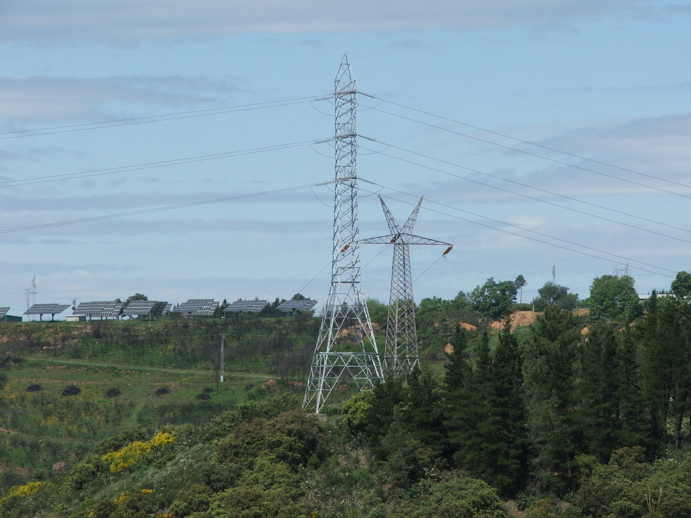 Electric Planning of the Electric Transmission Network.
